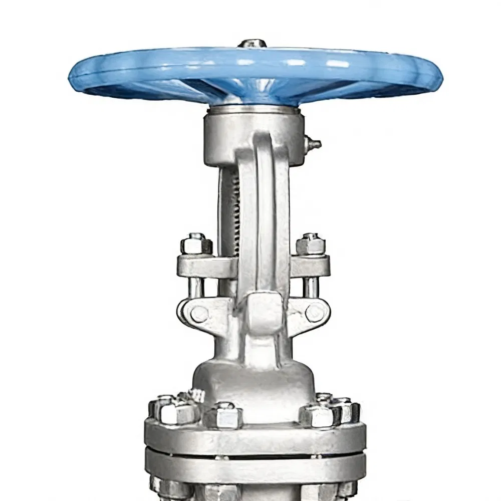 Full Bore Stainless Steel Gate Valve American Standard