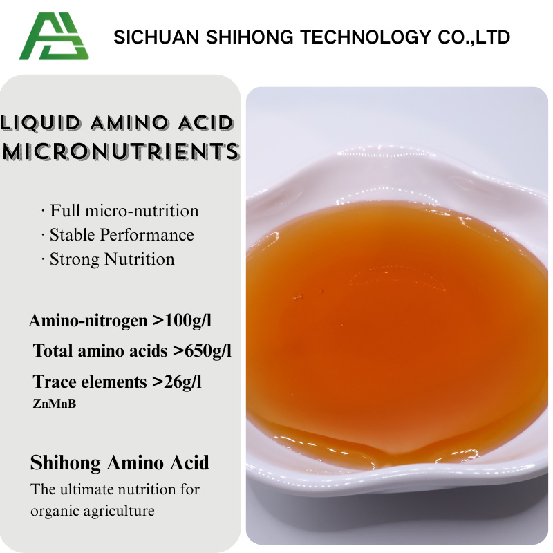 Liquid Amino Acid Micronutrient Solution for Foliar Spray Drip Irrigation Promotes Plant Growth