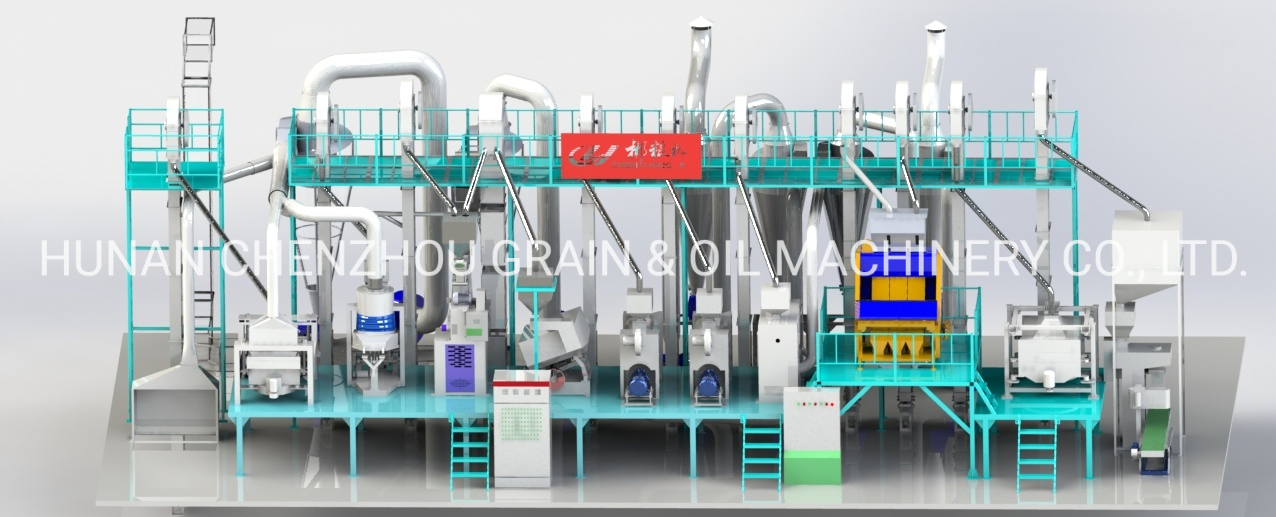 Usine de séchage automatique de rizerie de 200 tonnes par jour machine de rizerie de riz étuvé