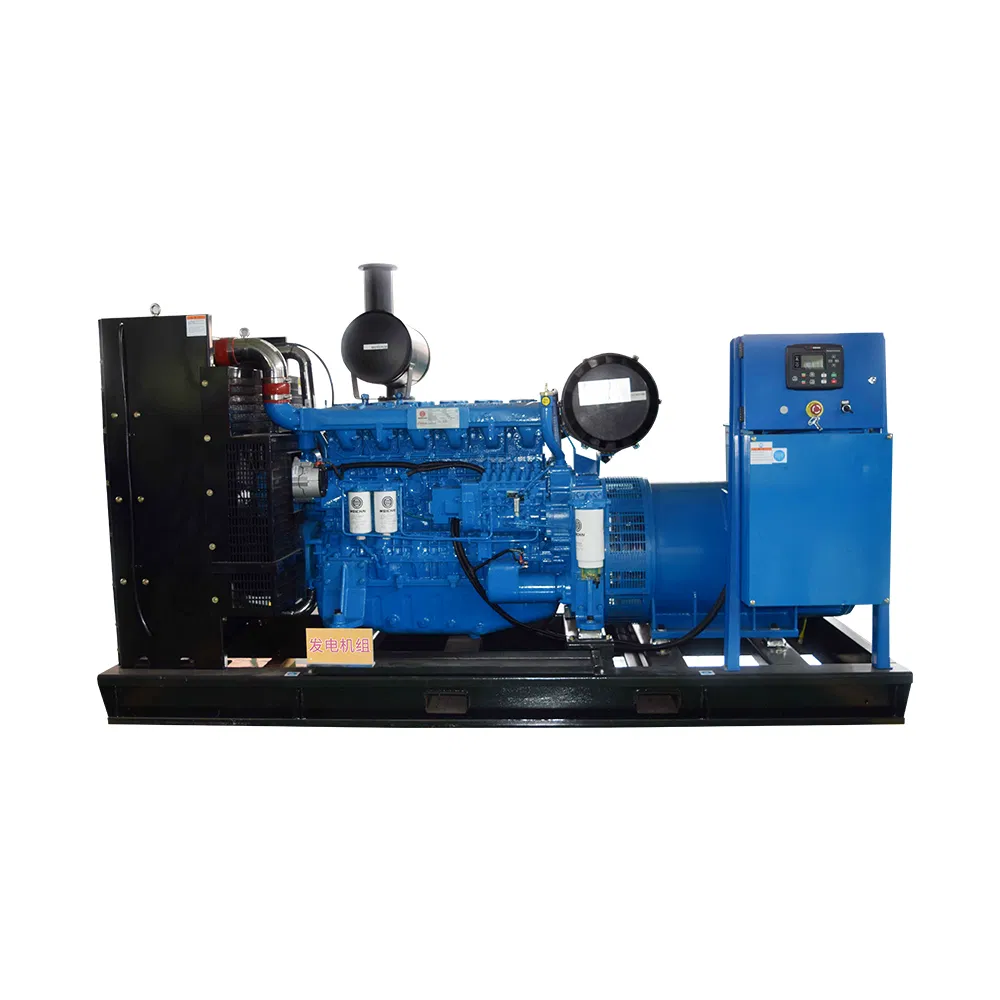 250kVA Portable Diesel Power Engine with ATS Silent Diesel Generator Set
