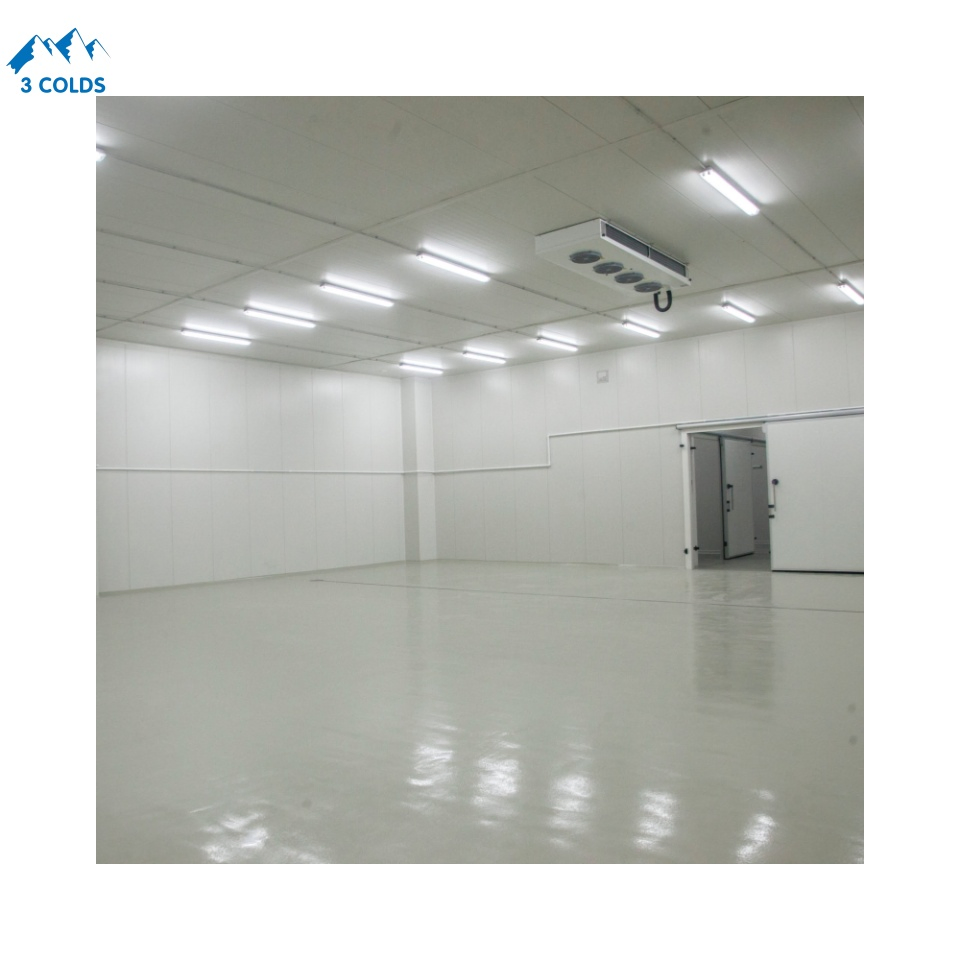 Walk-in Cold Storage for Kiwi Fruit and Vegetables, 0-10℃, 100 Ton Capacity