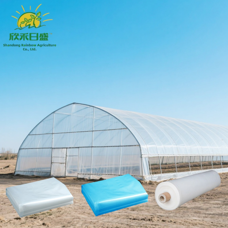 Film agricole en PE haute résistance, longue durabilité, protection UV, film plastique pour serre 200 microns