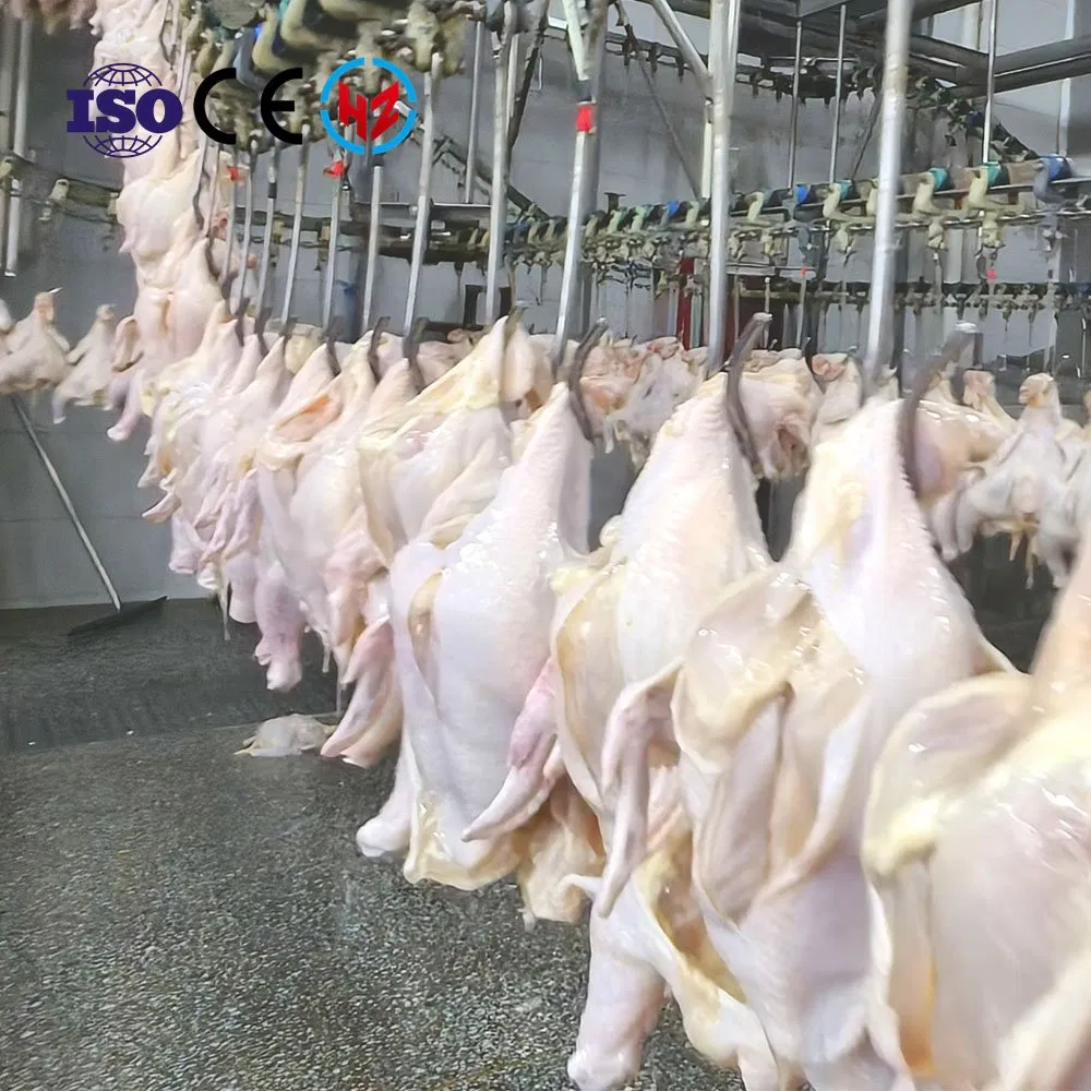 Spennatrice per Polli da Carne Ovaiole Pelatrice Macello Motore Mattatoio Macellazione