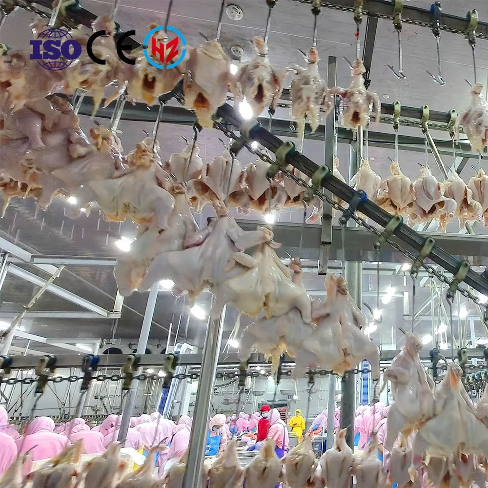 Machine d'abattage de poulets de chair et de poules pondeuses Machine à plumer la volaille avec abattoir
