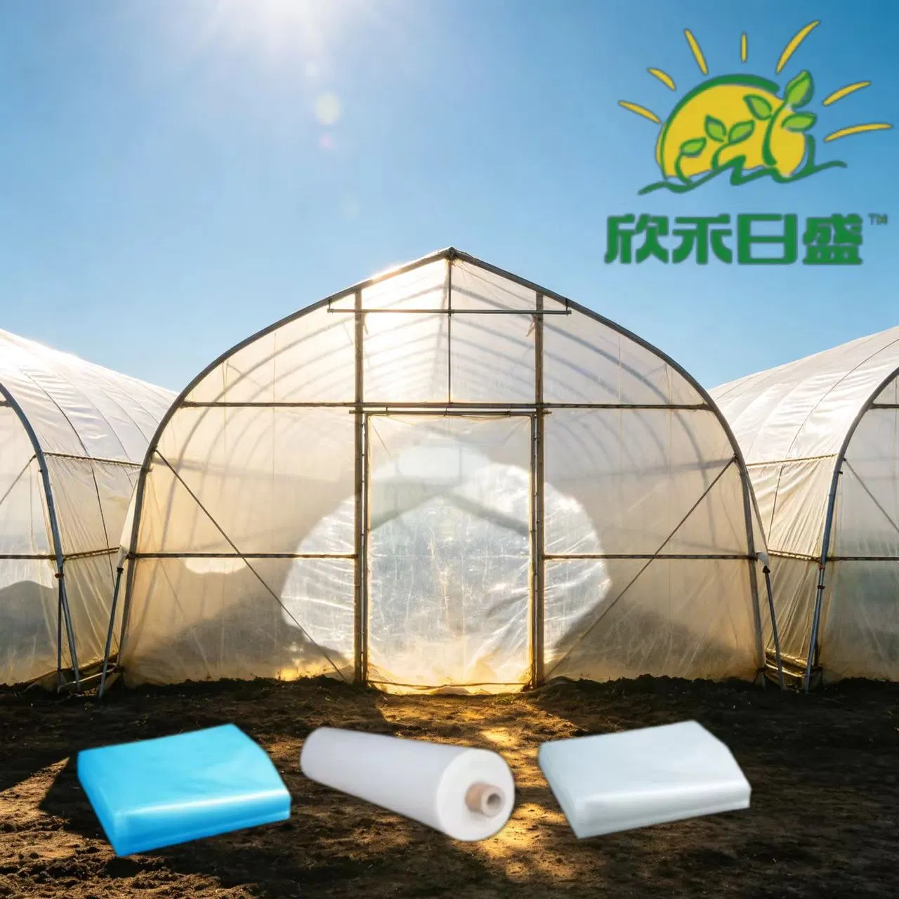 All-Weather Greenhouse Film for Crop Protection