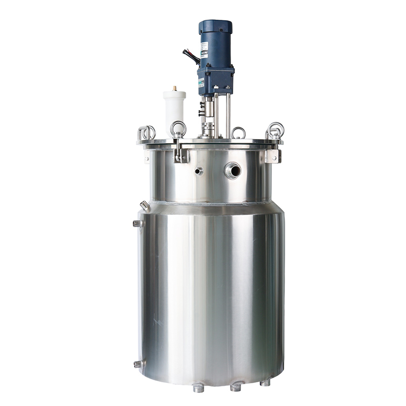 Stainless Steel Liquid Level Display Pressure Tank for Funnel Loading Mixing