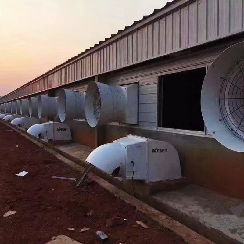 36/51/54/56 Pollici Ventilatore di Scarico a Trasmissione Diretta in PRFV per Sistema di Ventilazione di Allevamento Suino