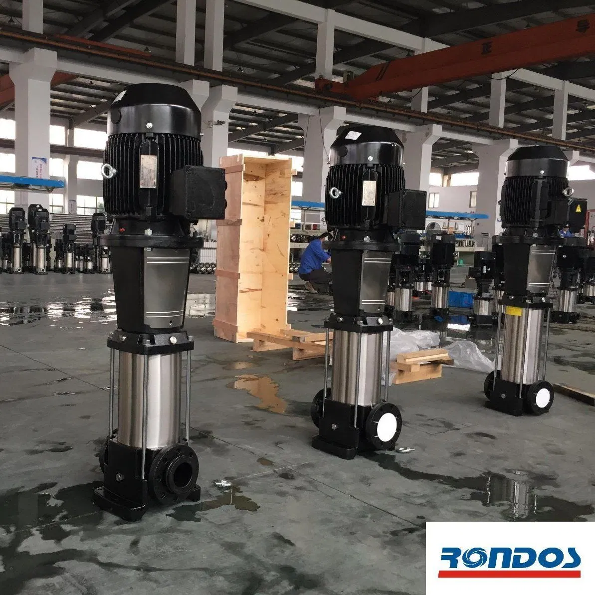 Stainless Steel Reverse Osmosis Water Treatment System Vertical Multistage Pump
