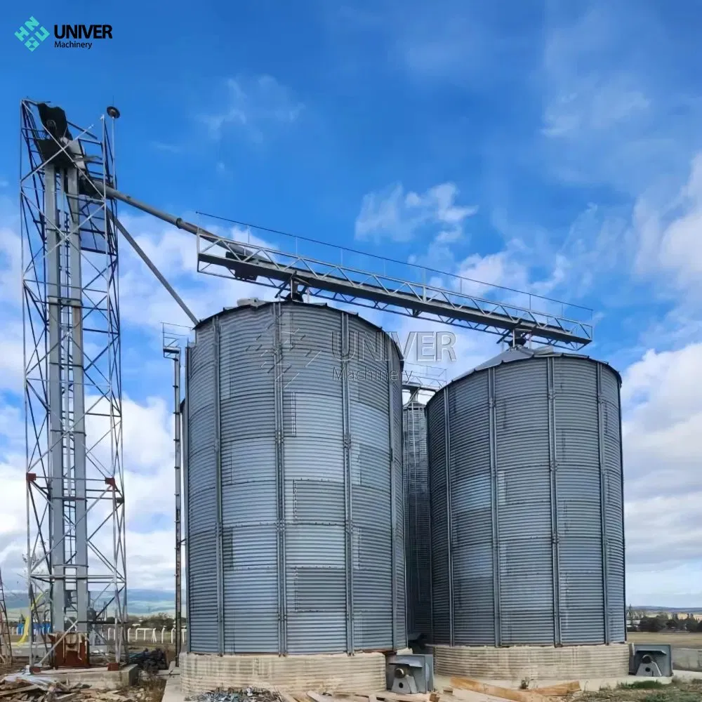 Silo in acciaio a fondo piatto da 8000 tonnellate per lo stoccaggio di grano, mais e soia