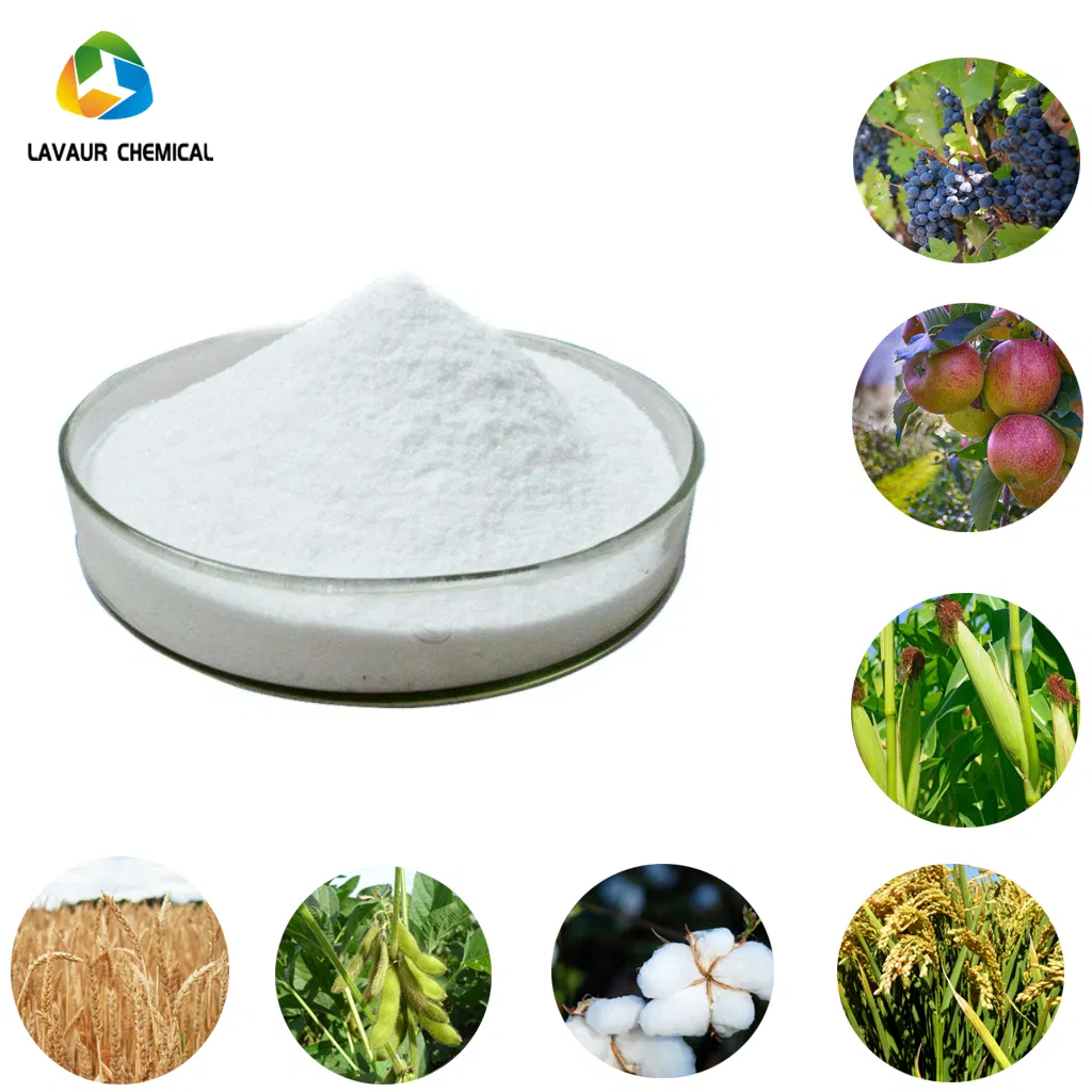 Kasugamicina Fungicida 70% TC, 20% WDG, 2% SL