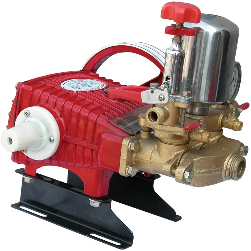 30mm Plunger Pumps