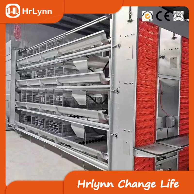 Fully Automatic EPC Layer Chicken Cage for Poultry