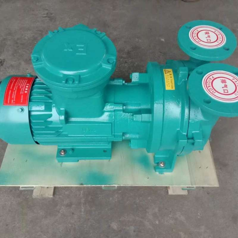 Bomba de vacío de anillo líquido 2BV-6110-6111-6121-6161 con motor a prueba de explosiones