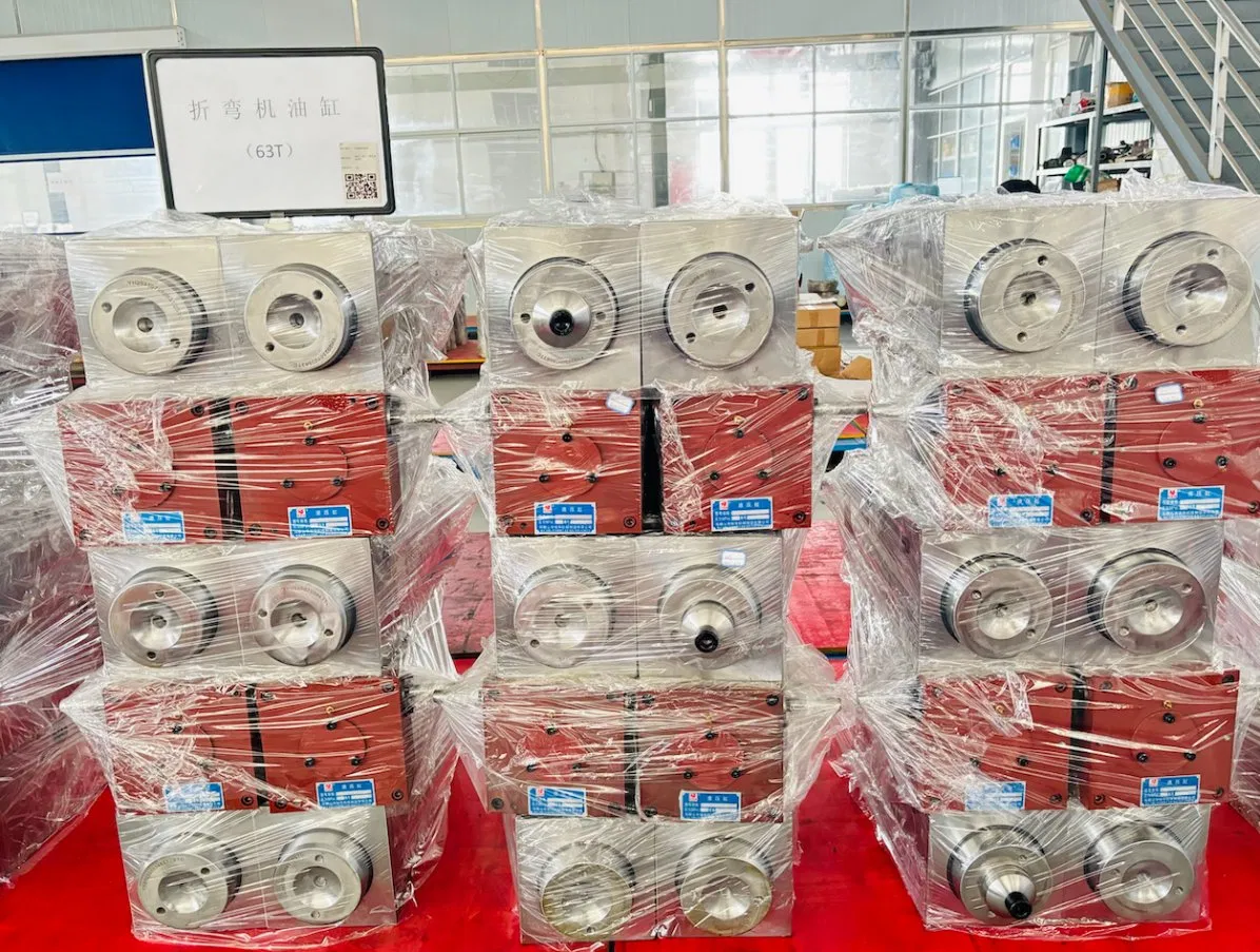 Custom Hydraulic Oil Cylinder 40t/100t/125t/160t for Bending Press Brake Machine