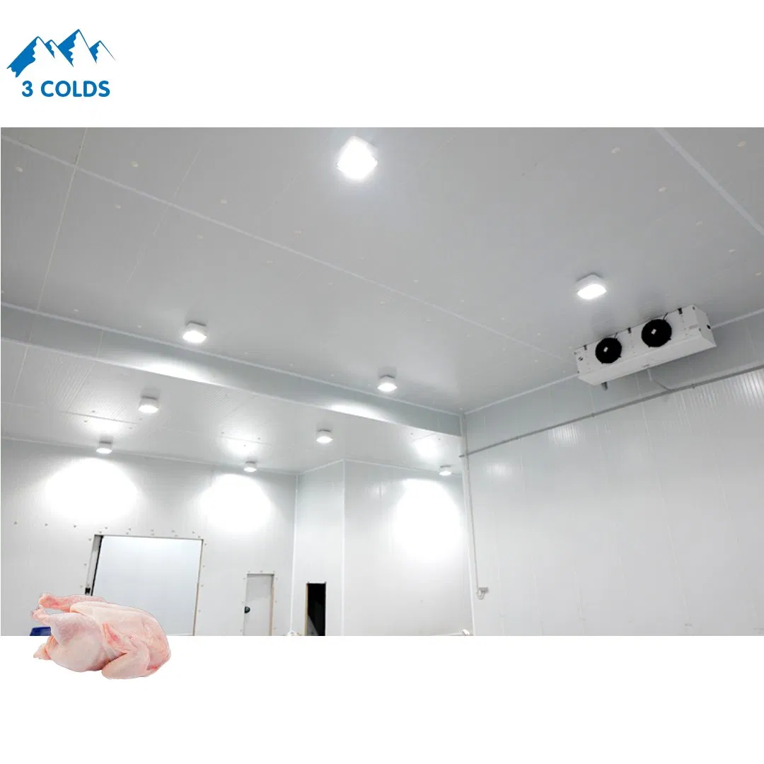 Negative Chicken Meat Cold Storage Room for Slaughter