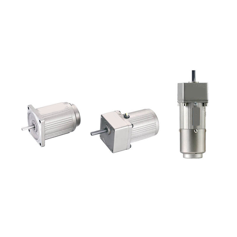 6W 60mm AC Induction Reducer Gearbox Electric Gear Motor
