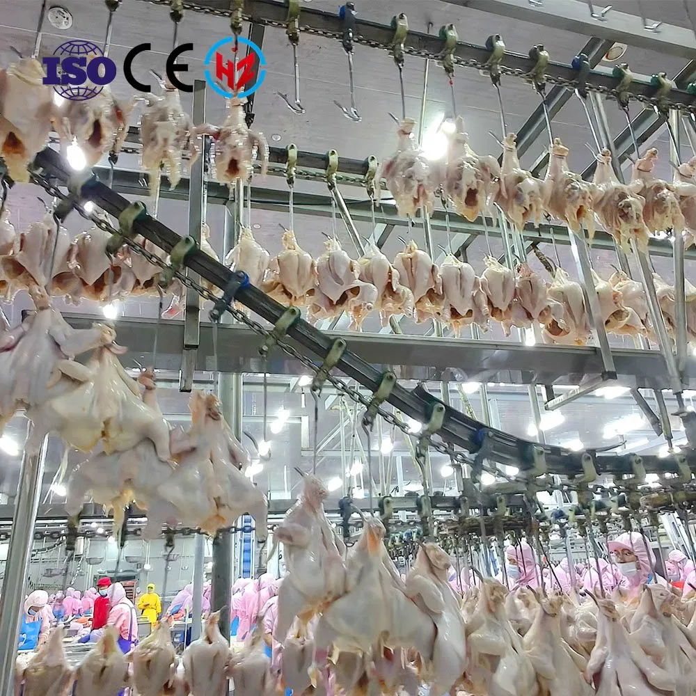 Equipo avícola para pollos de engorde y gallinas ponedoras Máquina de sacrificio avícola para un matadero eficiente