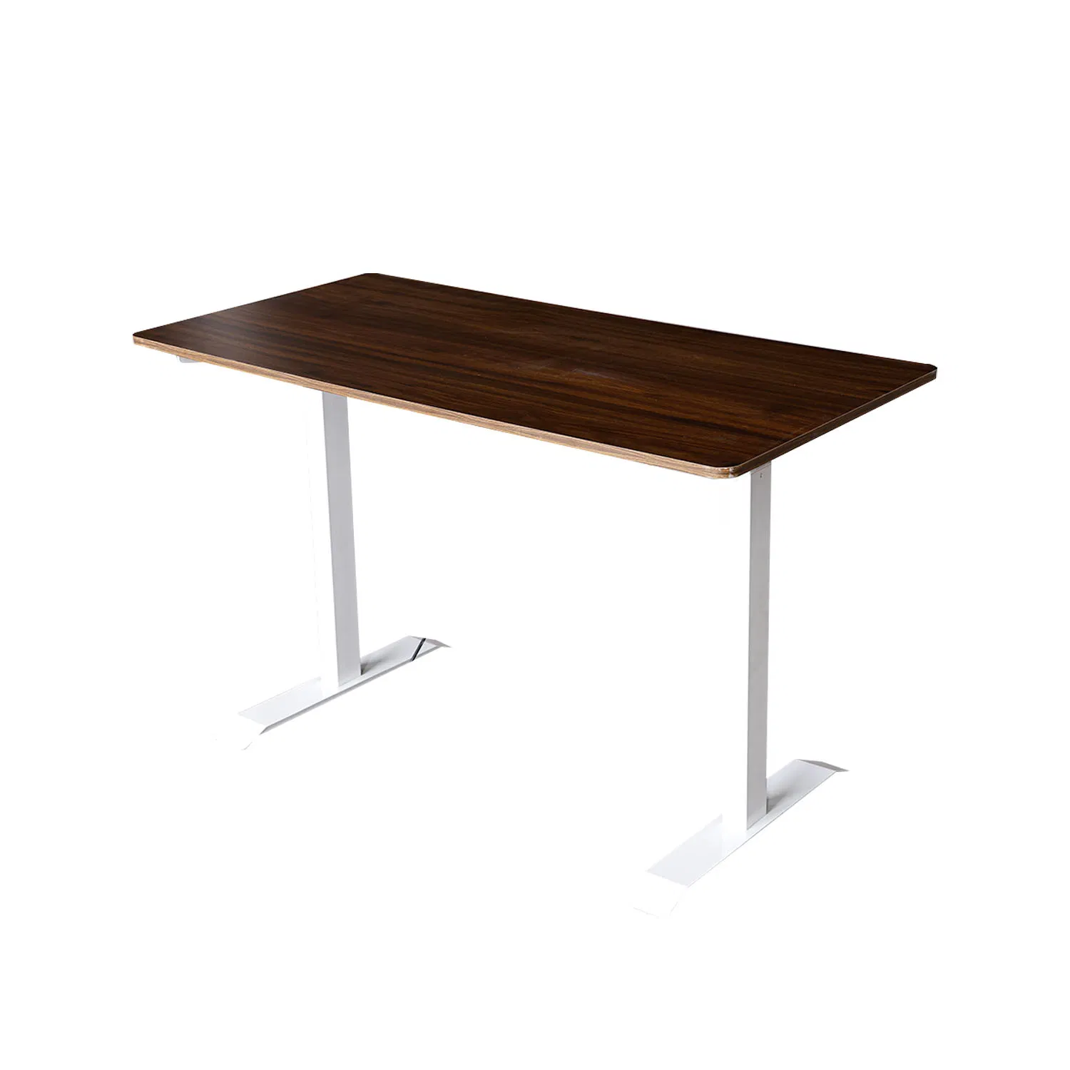 Dual Motors Adjustable Height Standing Desk