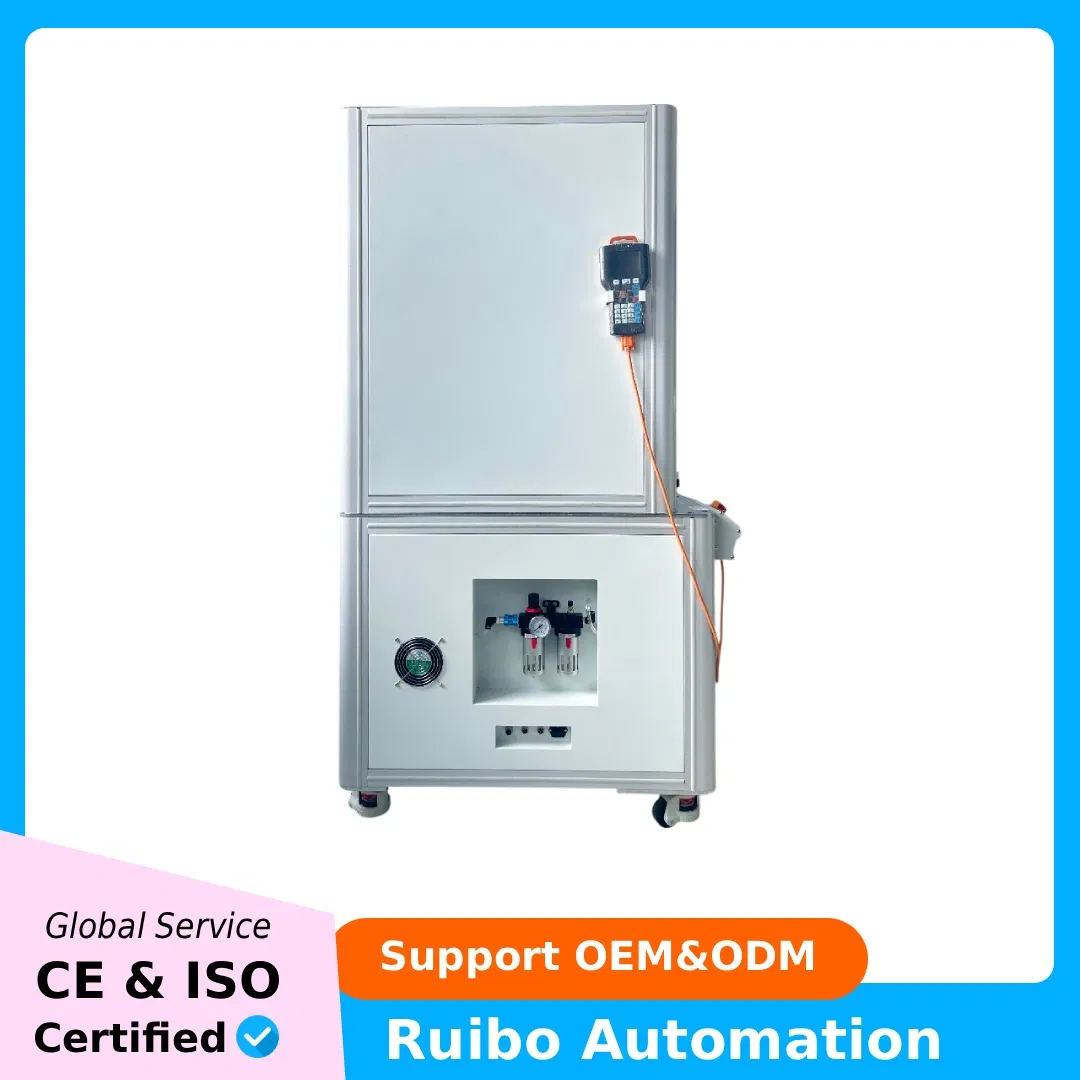 Ruibo High Capacity Automatic Glue Dispensing Machine for EV Charging Station Circuit Boards Assembly