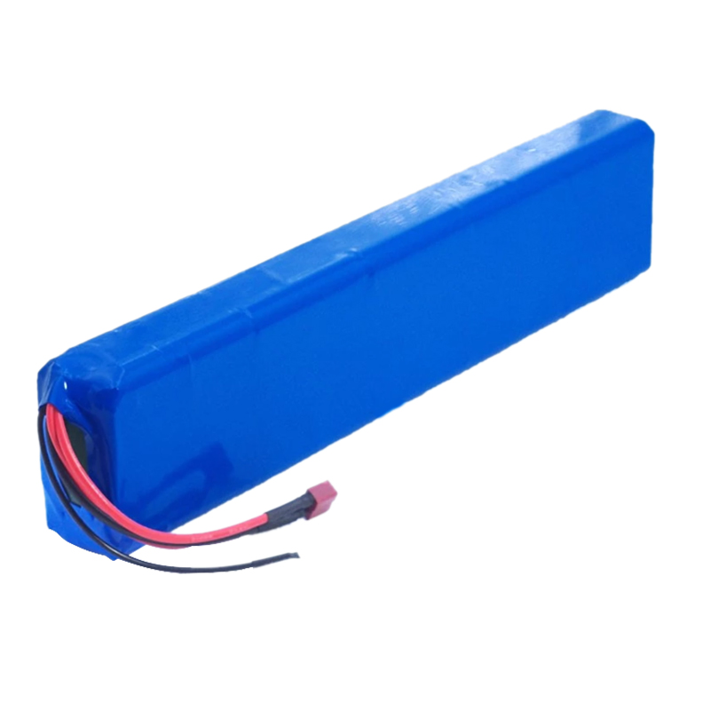 Custom Lithium Battery Pack 12V 24V 36V 5Ah 10Ah 15Ah with BMS for E-Bike, E-Scooter, Robot, AGV, Portable Power Station, ESS