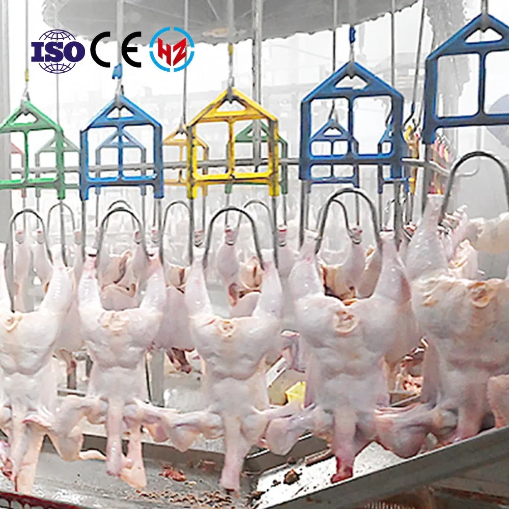 Hähnchen-Broiler-Legehennen-Schlachtmaschine für Geflügelschlachthof-Ausrüstung