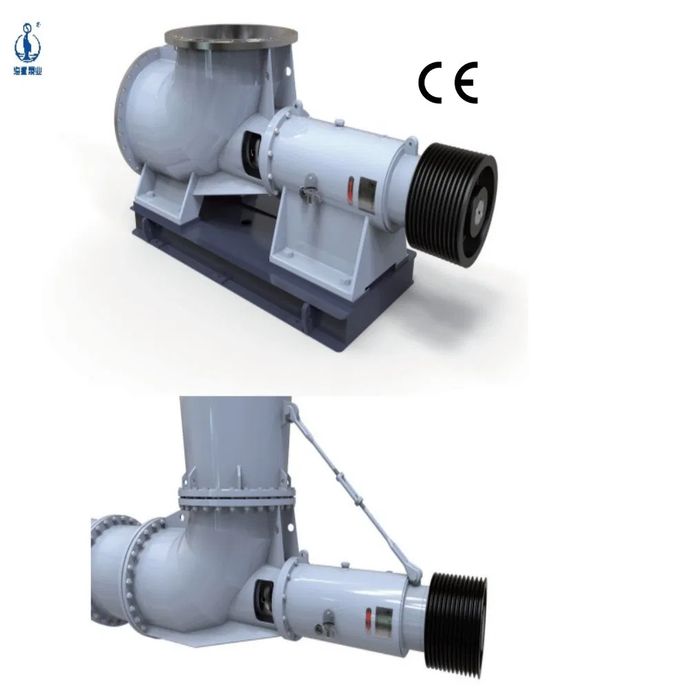 Horizontal Titanium Self Priming Acid Chemical Slurry Centrifugal Axial Flow Forced Circulation Pump