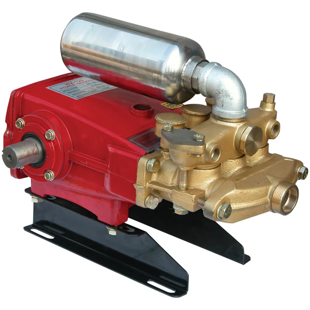 Насосы плунжерные Wenxin 38 мм Wx-120b