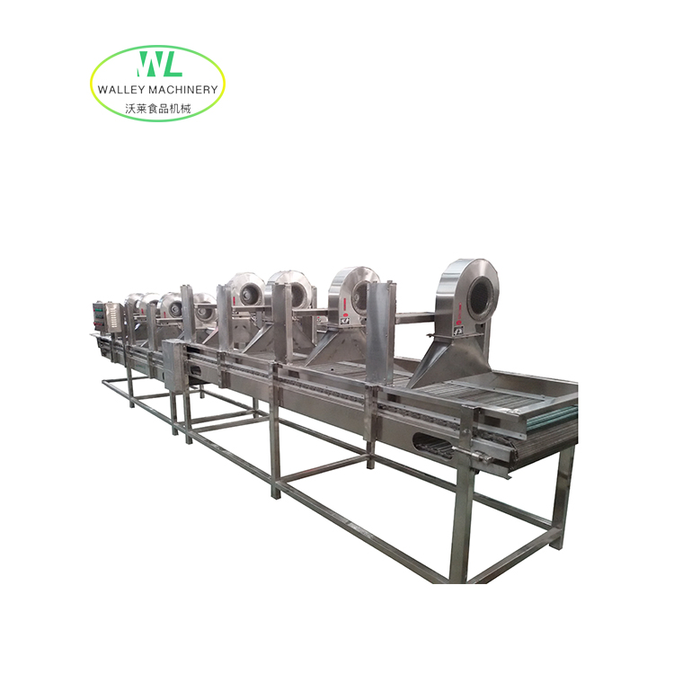 Walley Air Soffia Acqua per Verdure e Frutta