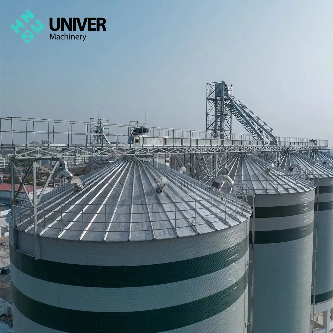 Durable Flat Bottom Steel Silo for Soybean Storage Large Capacity Farm Use