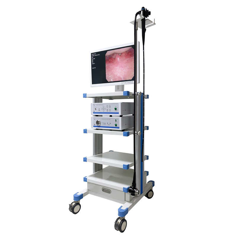 Digital Endoscope System Flexible Endoscopic Camera Video Endoscope