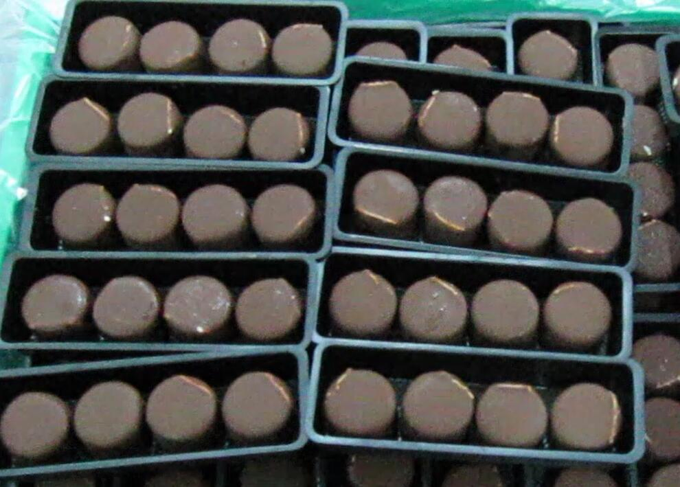 Máquina de extrusión de helado Cono de helado /Helado de barra Extrusión