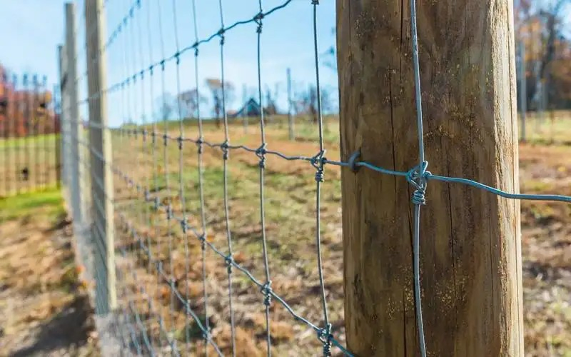Schwerlast verzinkter Viehzaundraht Zaungeflecht für Ranch