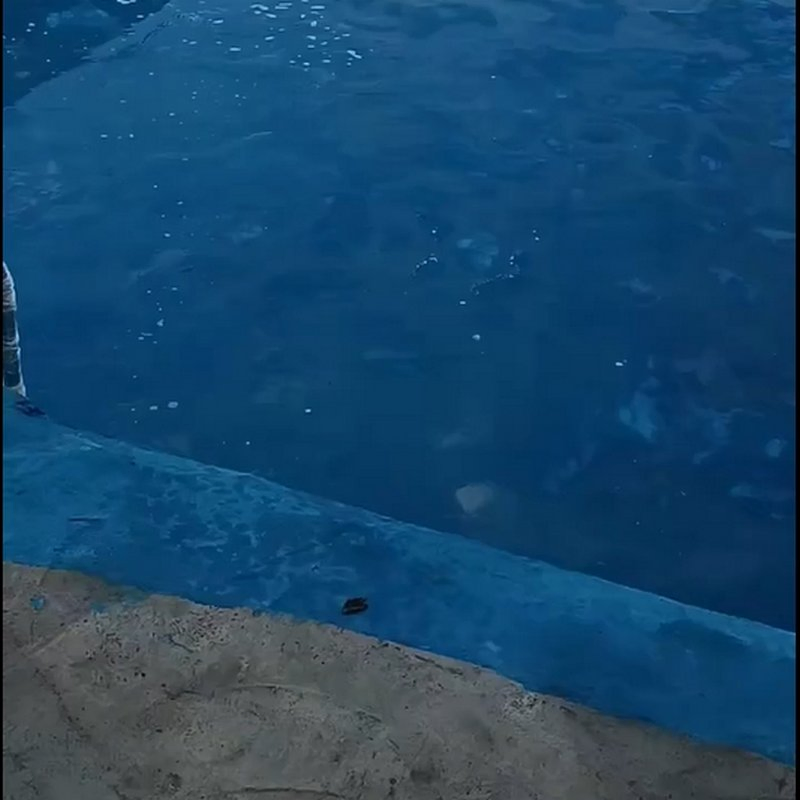 K11 Гидроизоляционное покрытие для бассейна и водоема