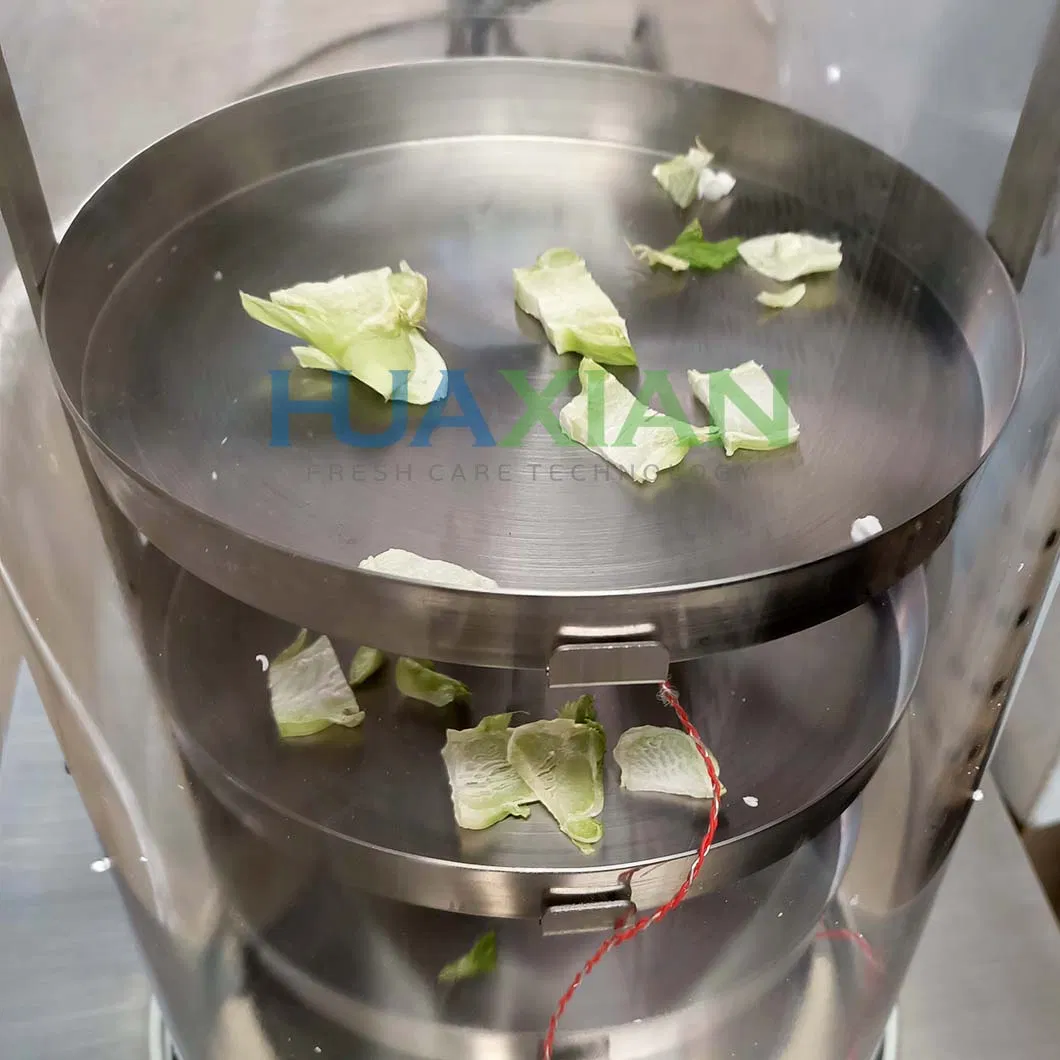 Séchoir à flocons pour animaux en bonne santé, équipement de séchage sous vide pour légumes/fruits