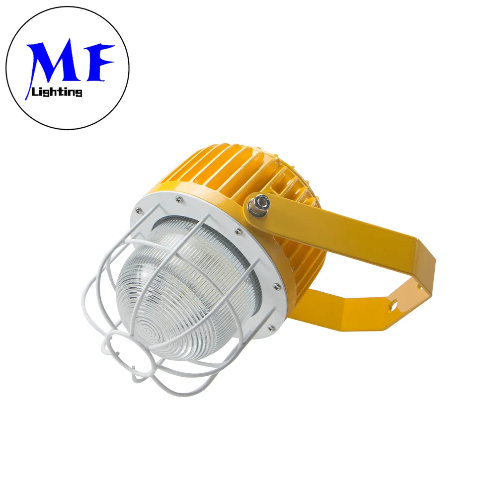 40W 60W 80W 100W 200W شهادة ATEX لمبة LED مقاومة للانفجار للتركيب على الحائط أو السقف أو التعليق للبيئات القاسية والمناطق المتفجرة في النفط والبنزين