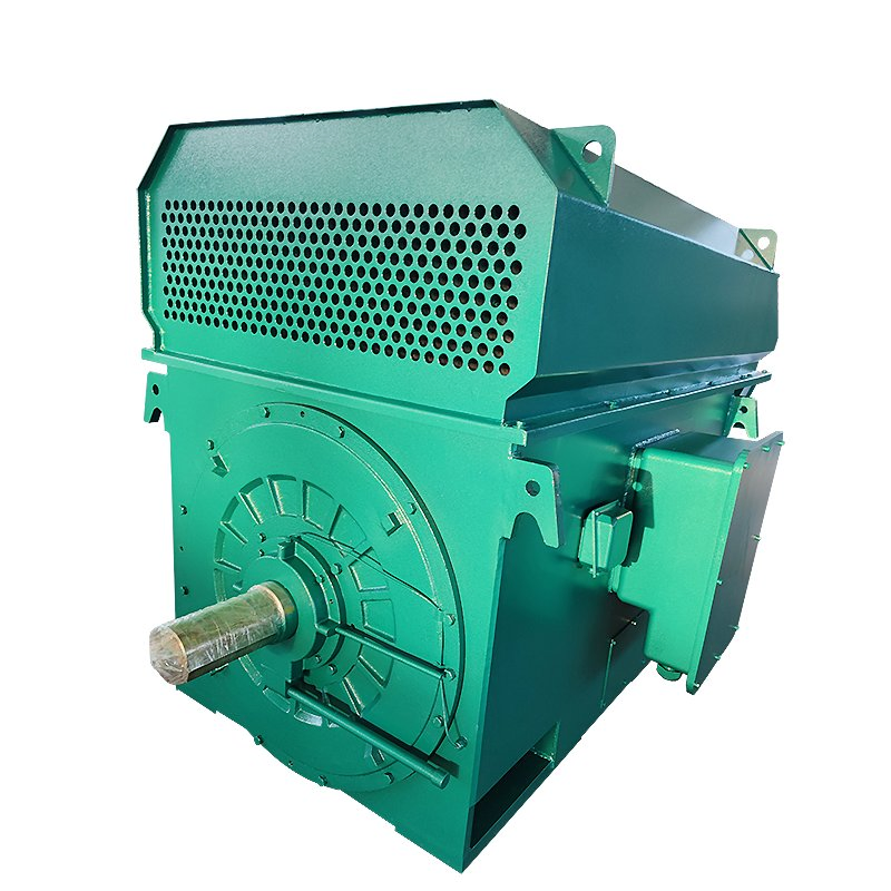 AC Induction Three Phase Asynchronous Motor High Voltage Electric Motor