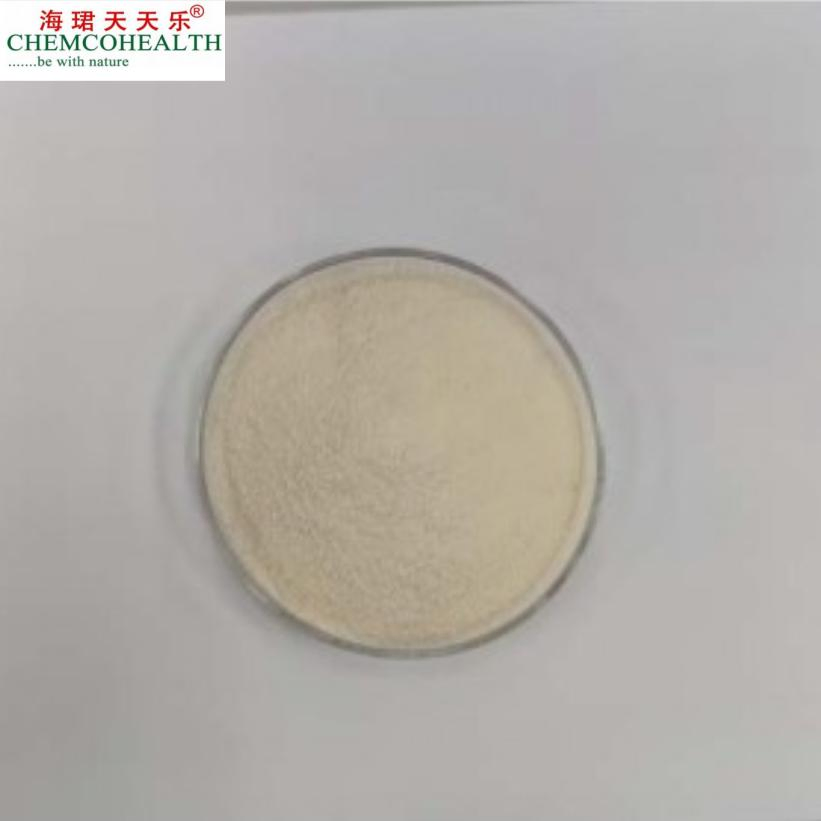 High Protein Content Collagen Peptide Type II Health Food Additive