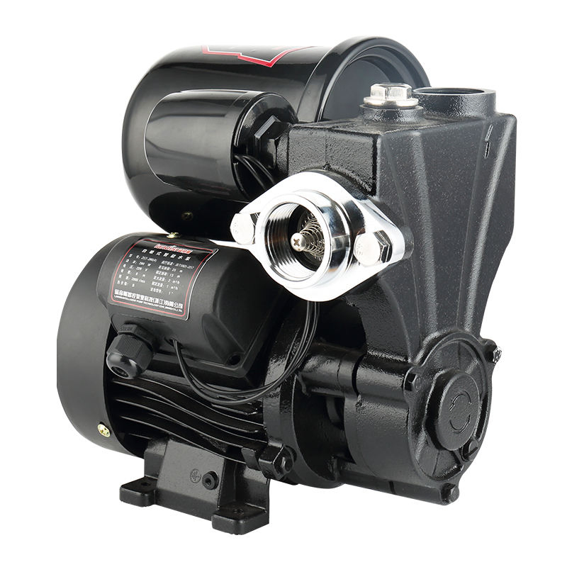 Landis Compact 200W Automatische Wasserpumpe für Haus und Garten