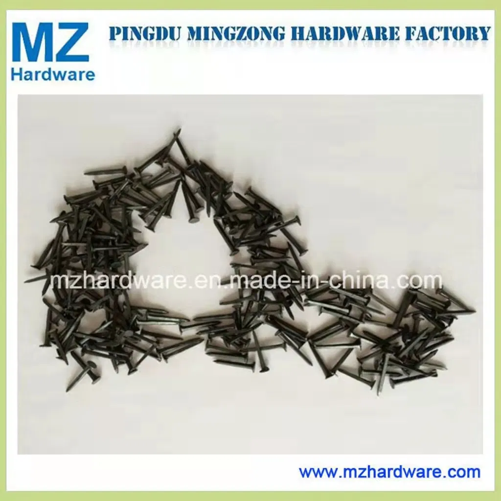 Shoe Tack Shoe Nail for Pakistan Market