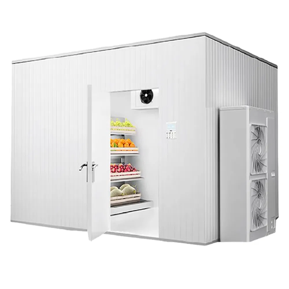 Cold Room Storage Freezer Room 0℃ -18℃ -25℃ -30℃ for Meat Seafood