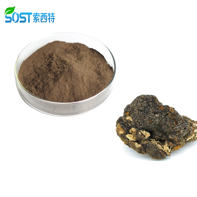 100 % naturel, double extrait de chaga de Sibérie biologique UE
