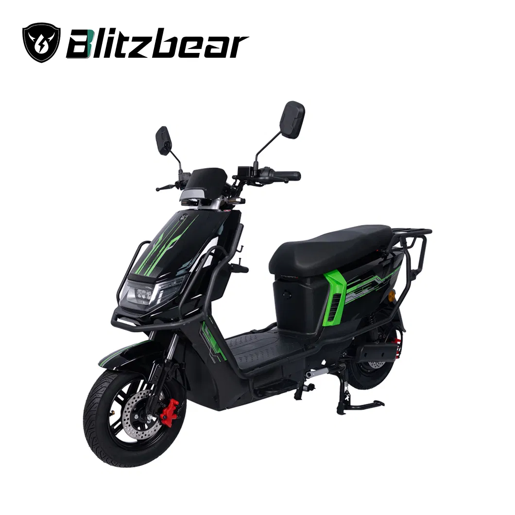 2 Wheels Adult Electric Motorbike E-Bike Electrical Bicycle