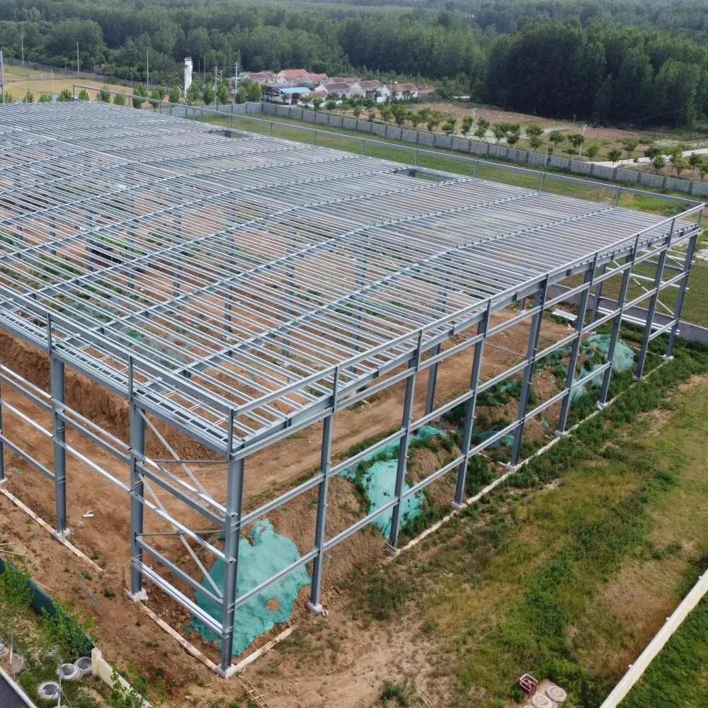 Light Steel Workshop Commercial Factory