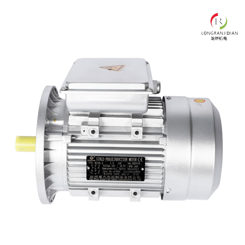 YL Series Single Phase Dual-Capacitor Induction Motor