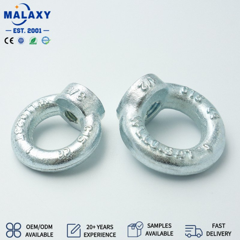 Hot DIP Galvanized Alloy Steel Eyebolt Nut Lifting Eye Nut