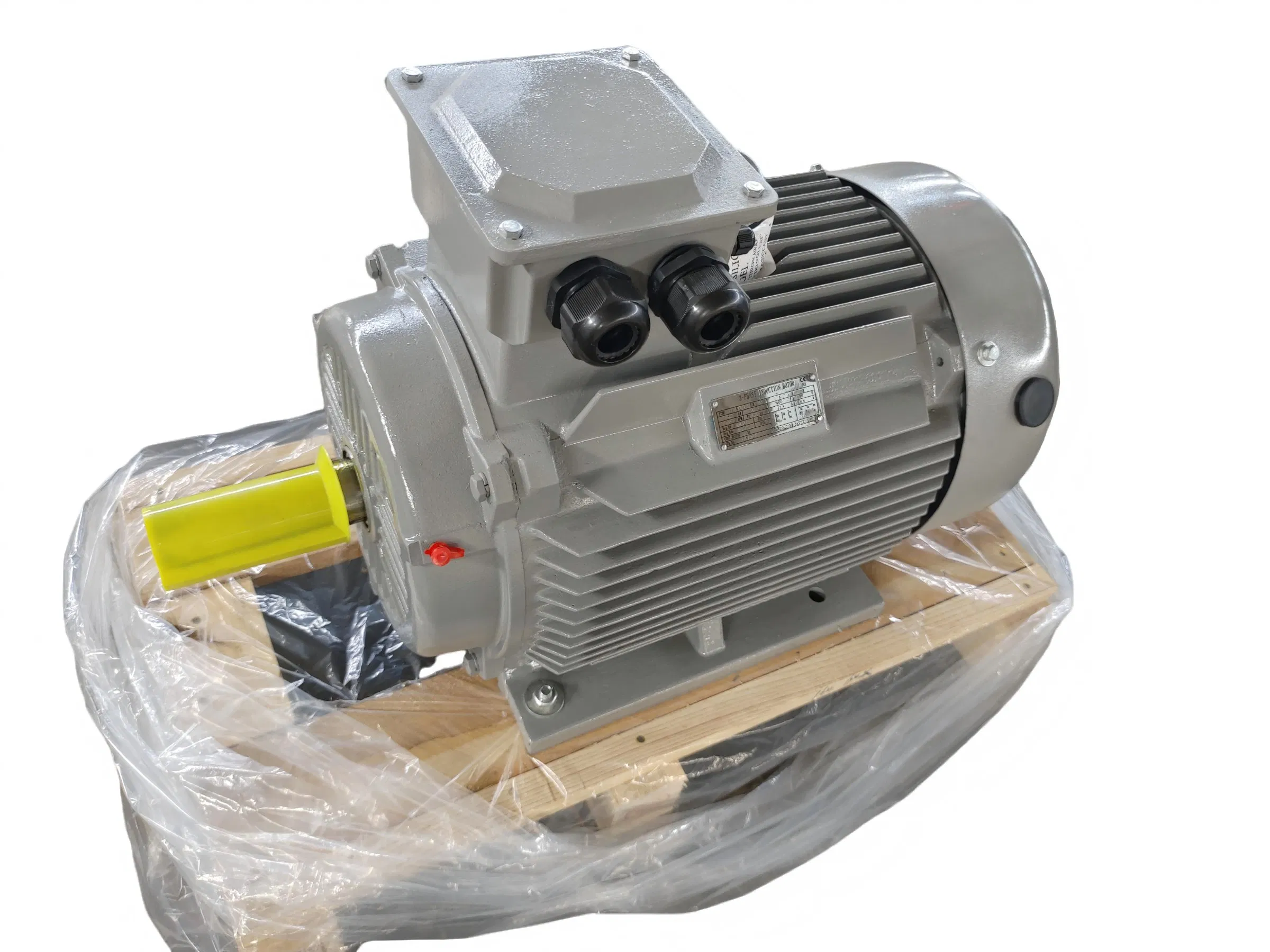 IE4 Series Premium Efficiency Three Phase Induction Motors