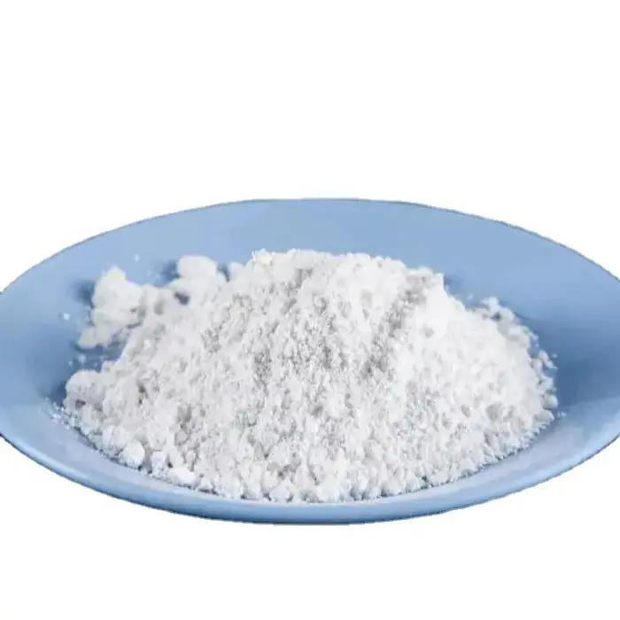 Titanium Dioxide (TiO2) CAS 13463-67-7 Rutile Grade / Anatase