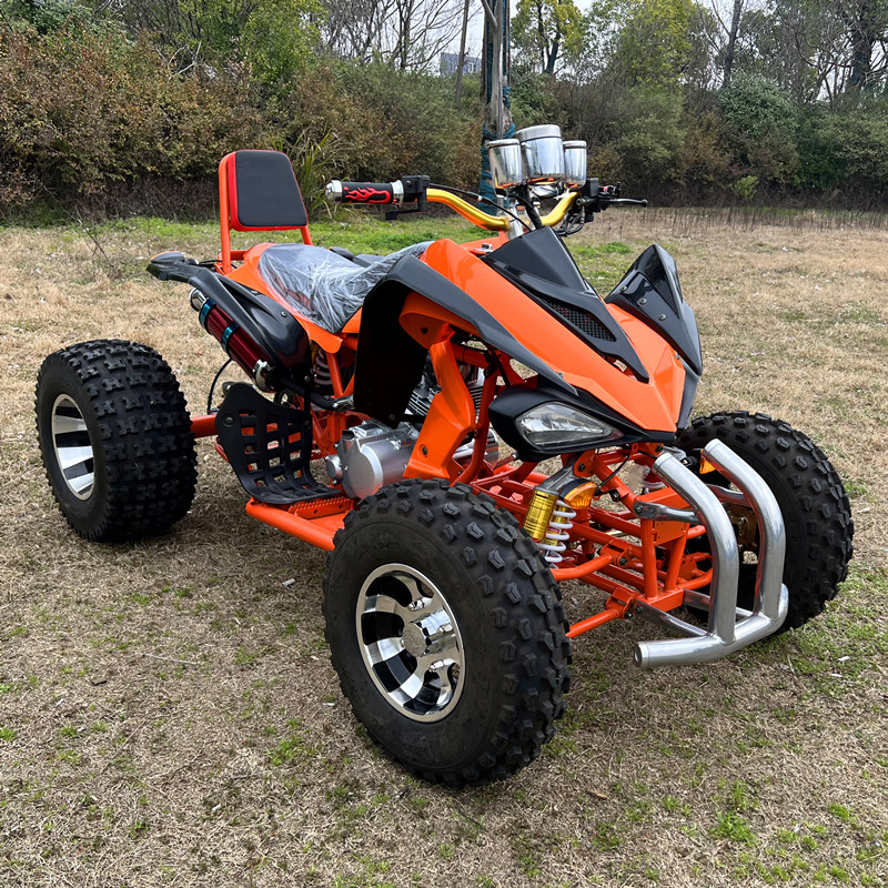 Quad ATV 200cc à boîte automatique certifié CE pour adultes