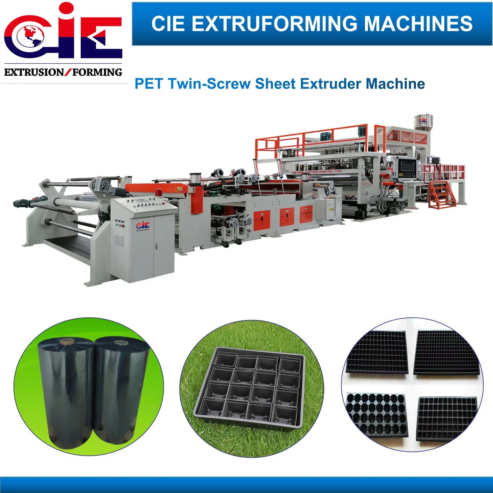 RPET 100% Recycle Flakes for Seedling Trays Pet PP PS Sheet Extrusion Machine/ Extruder Line