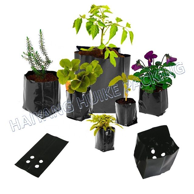 Sacchetti da giardino in polietilene anti-UV da 1/8 a 45 galloni per pomodori e frutta